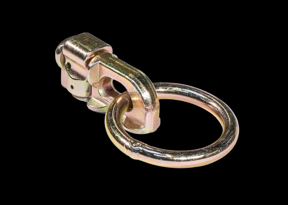 Chandler ADAPT L-Track D-Ring W/ Eyelet