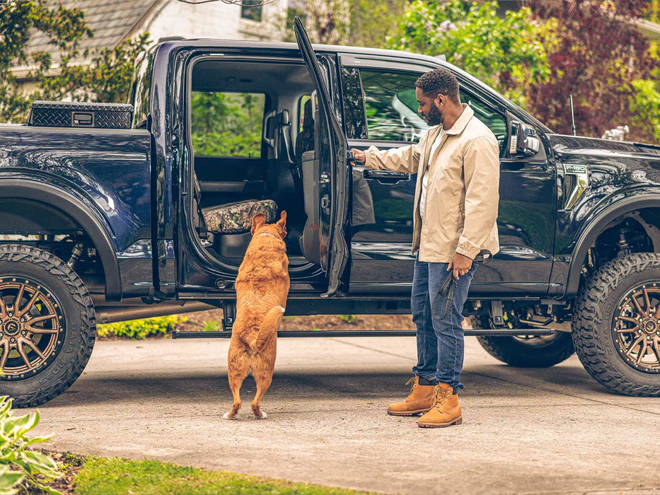 AMP Research PowerStep For 2009-2014 Ford F-150